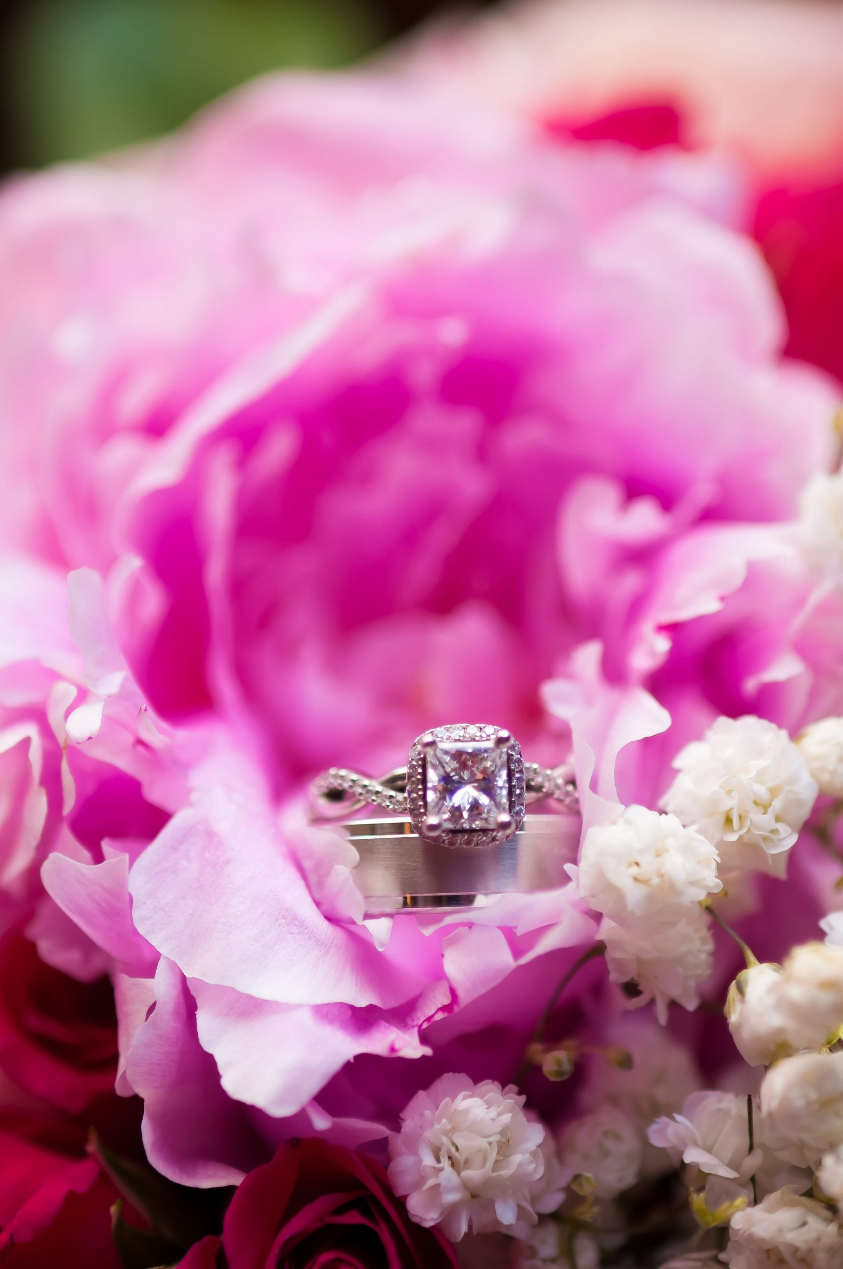 ring details in pink flower