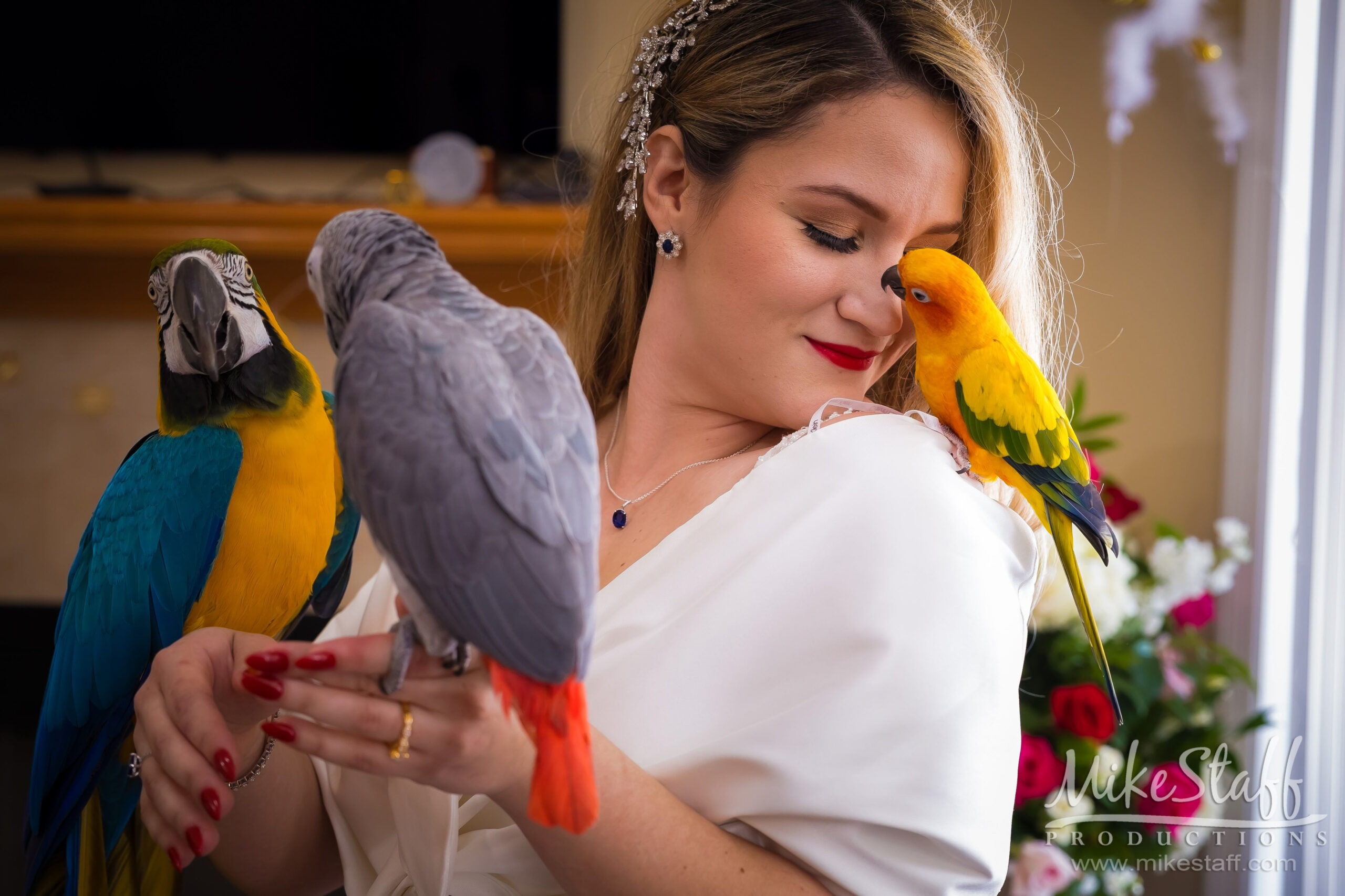 marino bride with birds cover photo