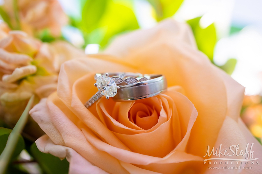 rings on flowers