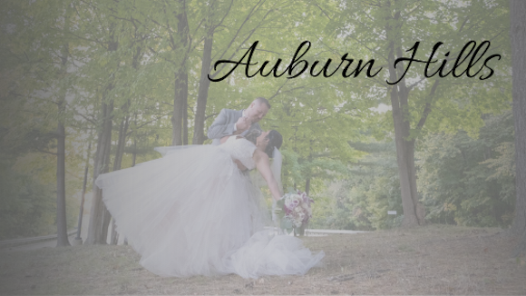 Auburn Hills Wedding Michigan wedding video